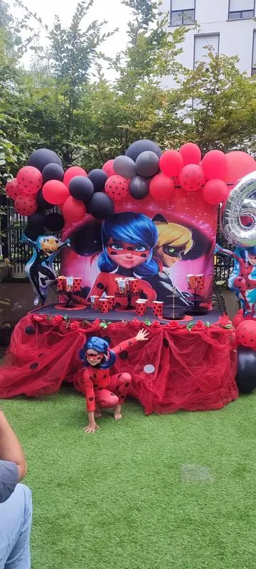 Décoration anniversaire Miraculous — L'atelier de Kashaine